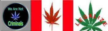 potflaglegalize.jpg