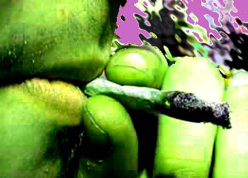 toker.jpg